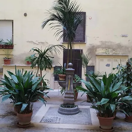 Art Domus Imperiale *